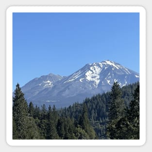 mount shasta Magnet